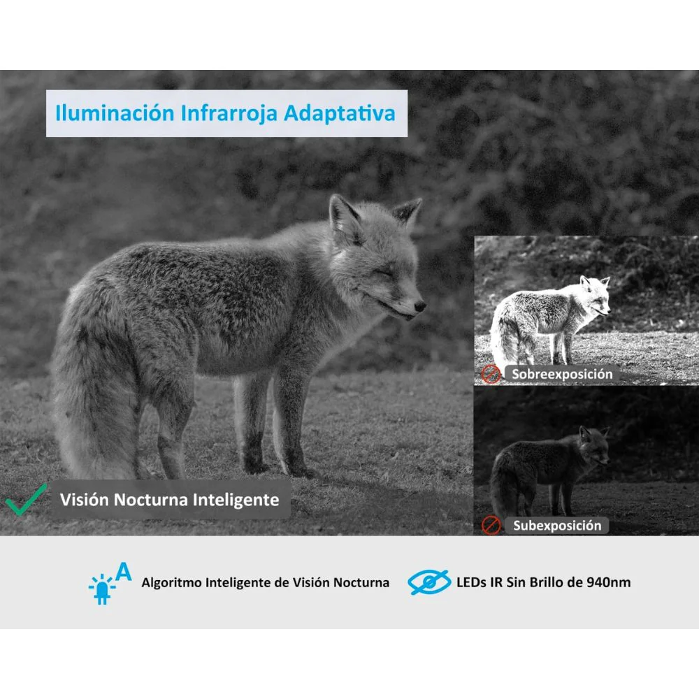 Imagen del producto 7